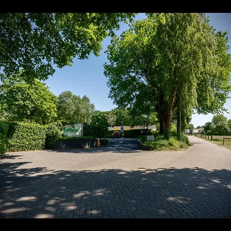 Chalet Bosrijk Austerpark Nr 40 Putten