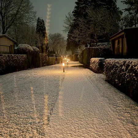 Bosrijk Austerpark Nr 40 Putten