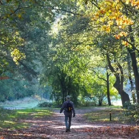 Bosrijk Austerpark Nr 40 *