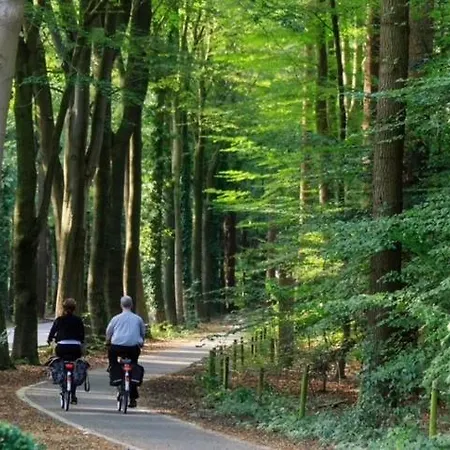 Bosrijk Austerpark Nr 40 * Putten